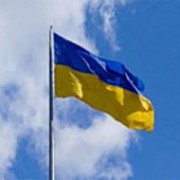 Международное сотрудничество с экспертным сообществом Украины