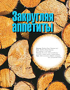 2006: Рейтинг наиболее стратегичных лесозаготовительных предприятий