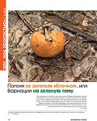 2007: Рейтинг наиболее стратегичных агрохимических предприятий