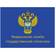 Эксперты ИНЭС приняли участие в заседании Общественного совета при Федеральной службе государственной статистики